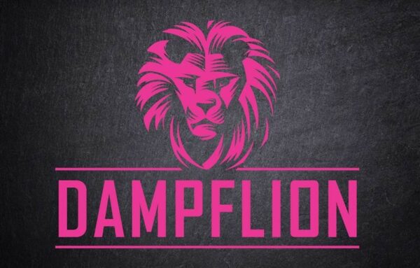 dampflion-pink-lion-3802-fv-dl0085ac32a0bc216c_1280x1280.jpg